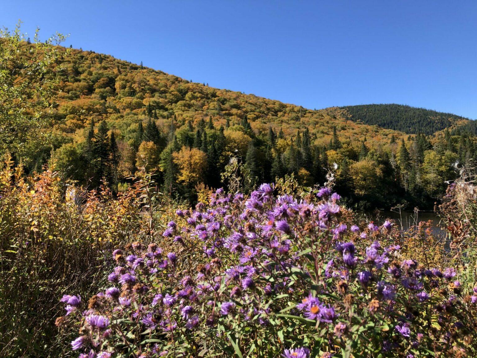 Qu Est Ce Que La Sophrologie Sophrologie Québec